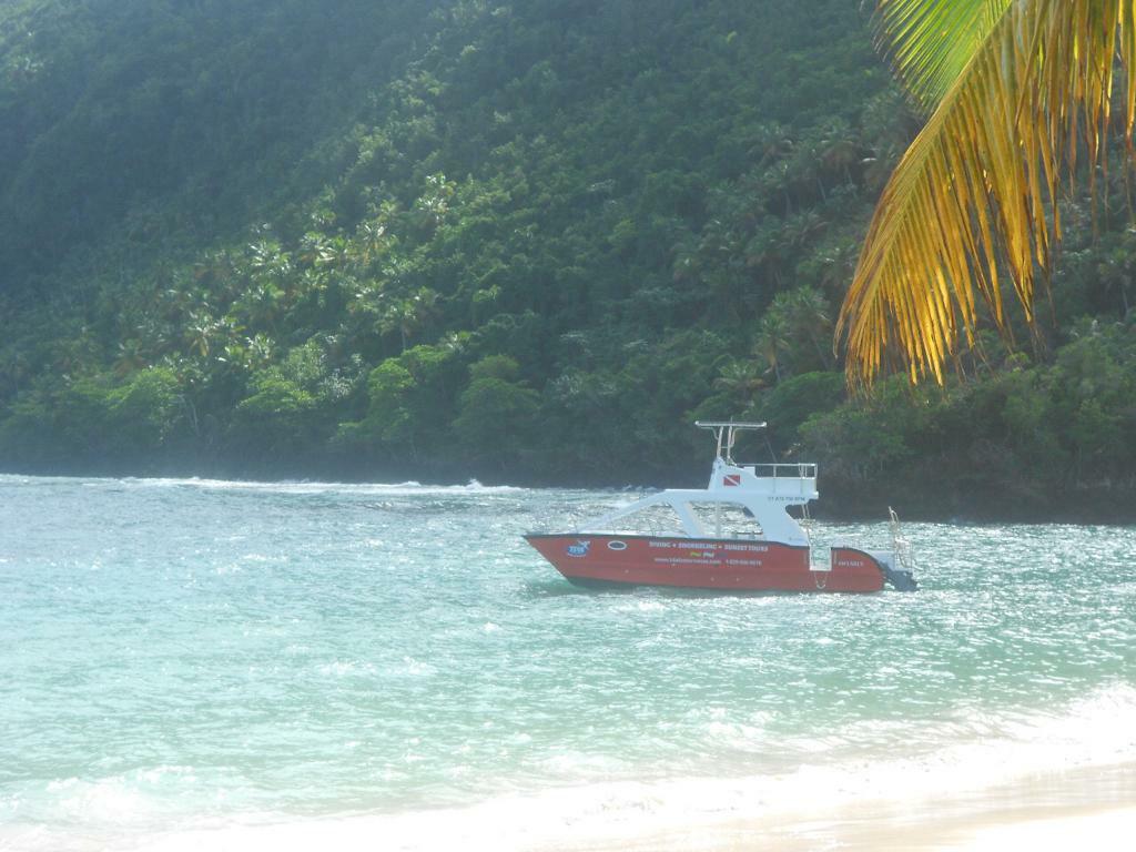 Plages désertes<br>