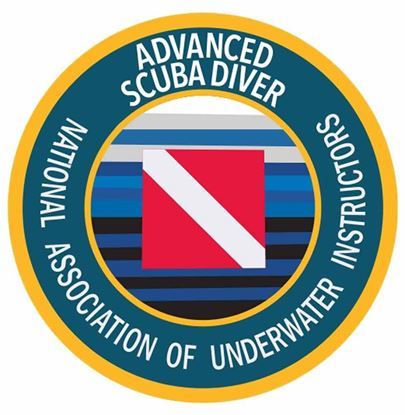 <p>Intro Scuba<br></p>