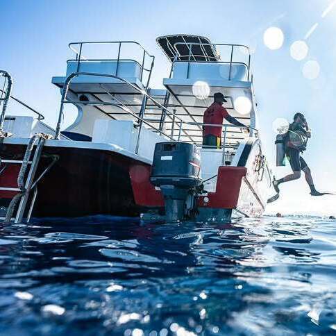 Divers preparing to enter the water from a dive boat near Las Terrenas